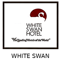 11_White_Swan